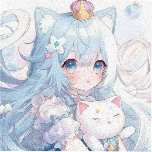 会员